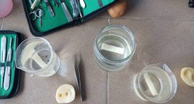 5a8574cb-45d2-4351-9f2a-aa8bf066c884